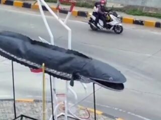 Viral! Tugu Ikan Gabus di Exit Tol Bekasi Jadi Sorotan