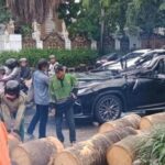 Mobil Lexus Tertimpa Pohon di Pondok Indah, Pengemudi Tewas