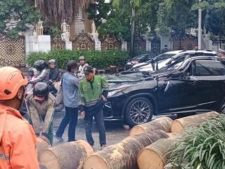 Mobil Lexus Tertimpa Pohon di Pondok Indah, Pengemudi Tewas