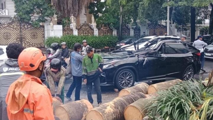 Mobil Lexus Tertimpa Pohon di Pondok Indah, Pengemudi Tewas