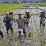 Bupati Monadi Serahkan Alsintan dan Benih Padi ke Petani