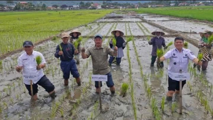 Bupati Monadi Serahkan Alsintan dan Benih Padi ke Petani
