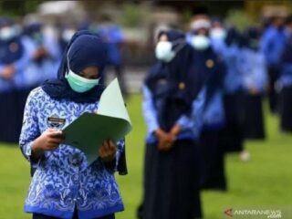 Pemerintah Resmi Hentikan Rekrutmen PPPK Mulai 2025