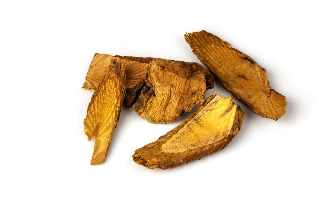 Akar Kuning: Manfaat, Kandungan, dan Cara Konsumsi Aman