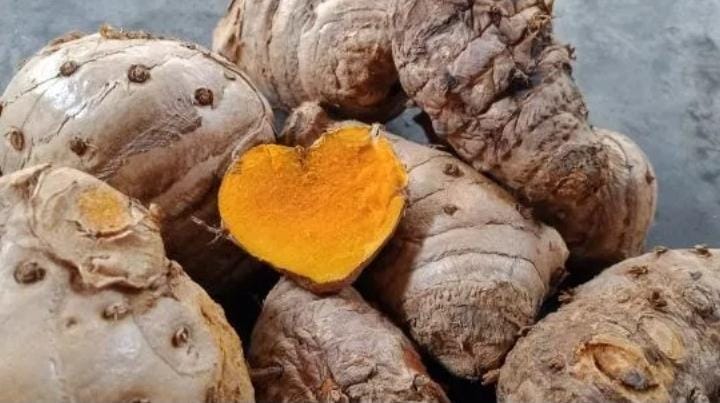 11 Manfaat Temulawak bagi Kesehatan: Kandungan dan Efek Samping