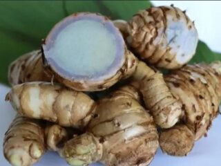 Kunyit Hitam: Khasiat & Cara Aman Konsumsi