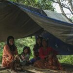 Mengenal Suku Anak Dalam Jambi: Sejarah, Tradisi & Kehidupan