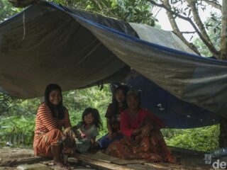 Mengenal Suku Anak Dalam Jambi: Sejarah, Tradisi & Kehidupan