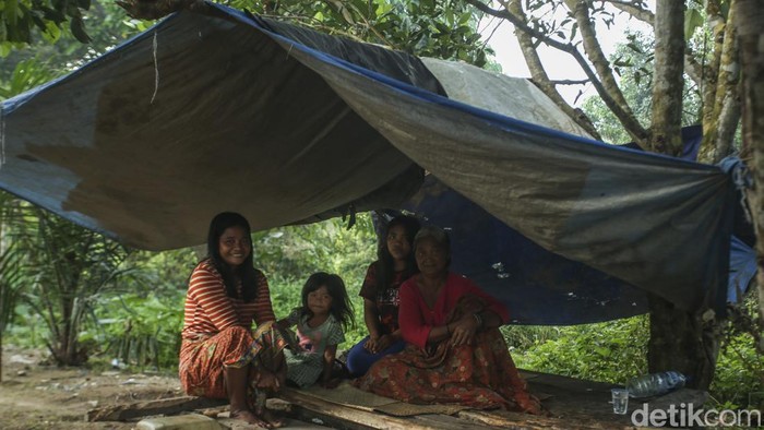 Mengenal Suku Anak Dalam Jambi: Sejarah, Tradisi & Kehidupan