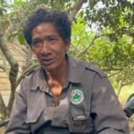 Kenzie Alfarezi Hilang di Jambi, Orang Rimba Bukan Terkait