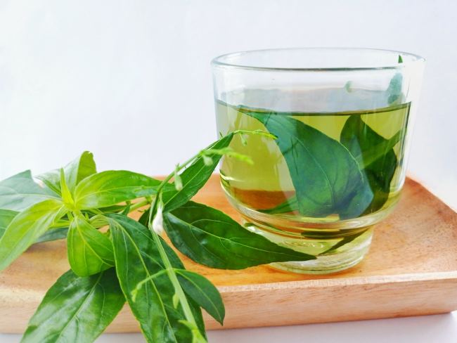 5 Manfaat Sambiloto untuk Kesehatan Wanita