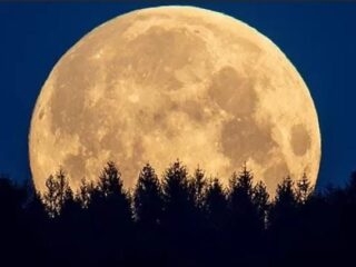 Supermoon Cold Moon 2025: Waktu & Lokasi Terbaik di Indonesia