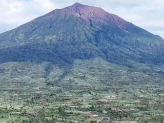 49 Hektare Hutan TNKS Dirambah di Kaki Gunung Kerinci
