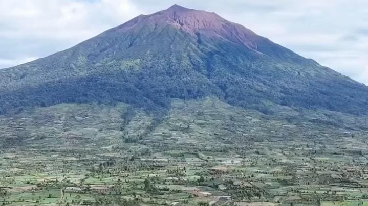 49 Hektare Hutan TNKS Dirambah di Kaki Gunung Kerinci