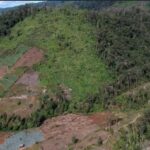 Hutan Kaki Gunung Kerinci Dirambah 2,3 Hektare Sejak 2022