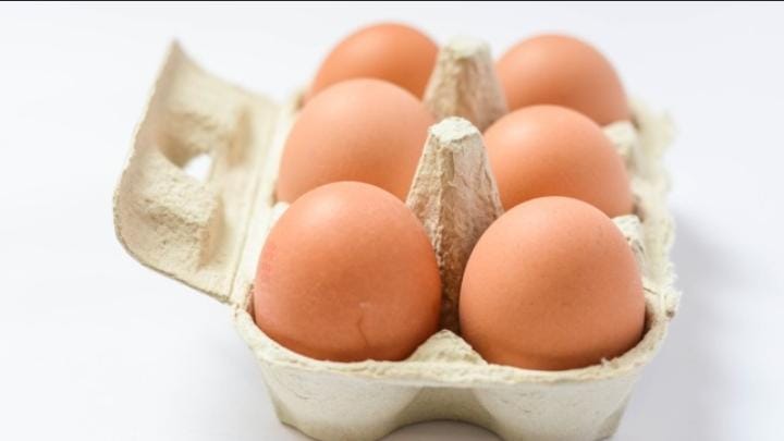 Telur Infertil: Aman Dikonsumsi & Tips Penyimpanan yang Tepat