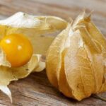 5 Manfaat Buah Ciplukan untuk Pria, Baik untuk Stamina dan Kesehatan