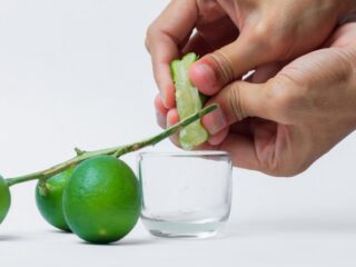 Benarkah Jeruk Nipis Ampuh Meredakan Batuk? Ini Penjelasan Medisnya