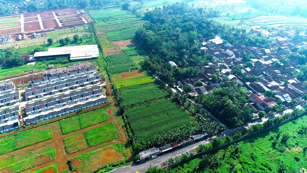Sawah Terus Menyusut, Menteri Nusron Terapkan Kebijakan Darurat Perlindungan Lahan Pertanian