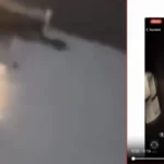 Viral Link Video Batang Timur 16 Detik, Ini Fakta Sebenarnya