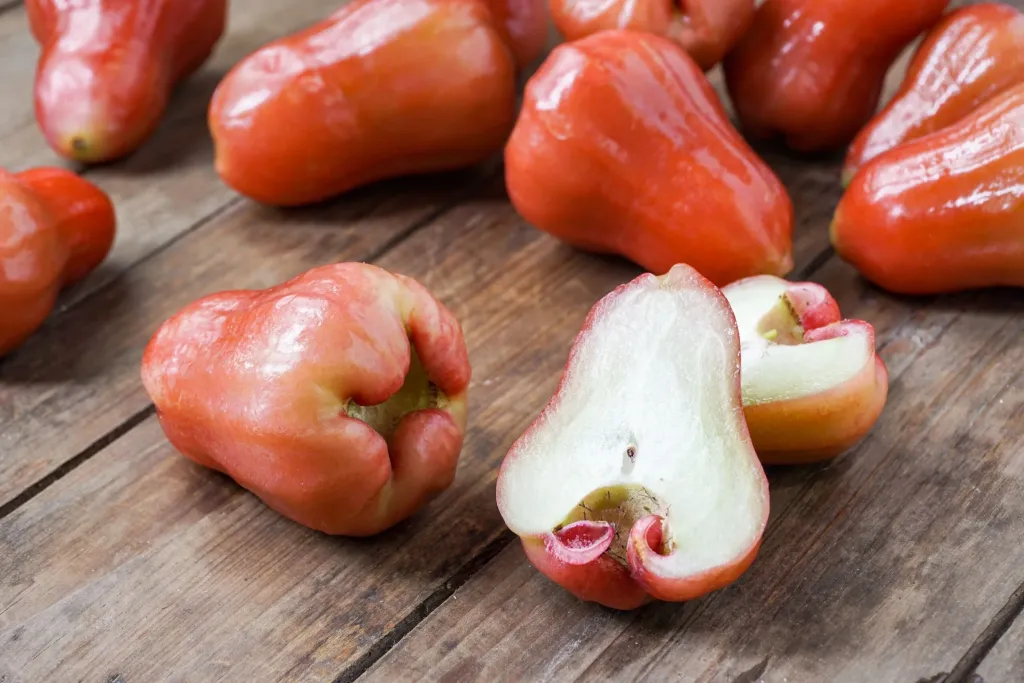 10 Manfaat Jambu Air untuk Kesehatan dan Efek Sampingnya