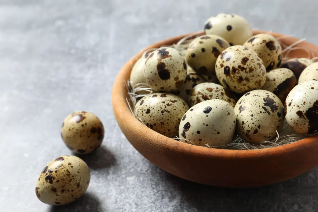 10 Manfaat Telur Puyuh untuk Kesehatan, Nutrisi Lengkap & Efek Sampingnya