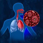 Organ Pernapasan Manusia: Fungsi, Bagian & Cara Kerja