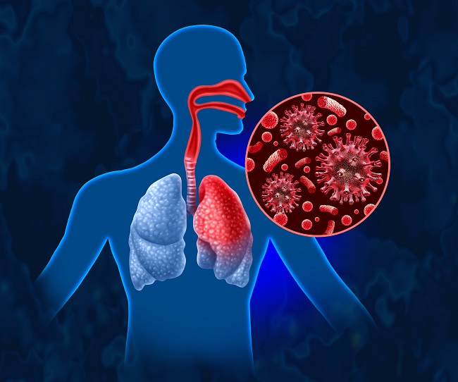 Organ Pernapasan Manusia: Fungsi, Bagian & Cara Kerja