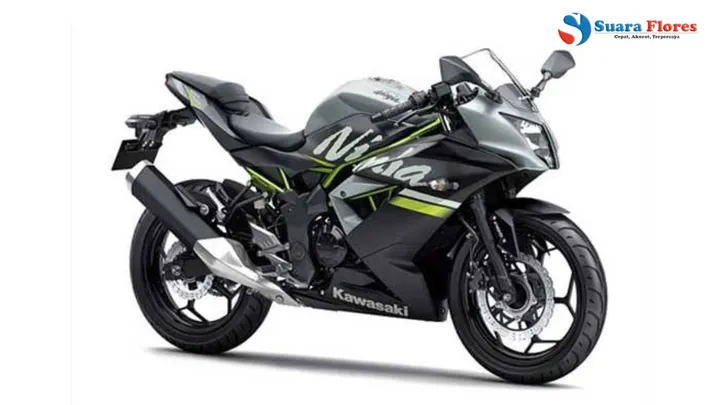 Kawasaki Ninja 250: Motor Sport Ikonik dengan Performa Maksimal