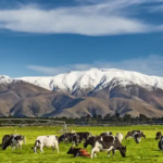 Negara dengan Durasi Puasa Terpanjang & Terpendek 2026