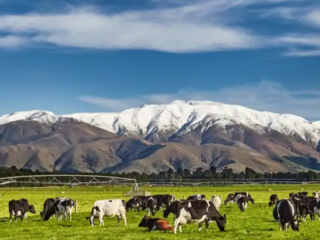 Negara dengan Durasi Puasa Terpanjang & Terpendek 2026