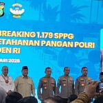 Daftar Lengkap Penerima Bintang Jasa dan Satyalancana dari Presiden Prabowo