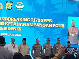 Daftar Lengkap Penerima Bintang Jasa dan Satyalancana dari Presiden Prabowo