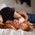 Manfaat Tidur Siang untuk Kesehatan Fisik & Mental Dewasa