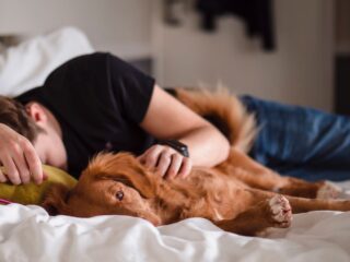 Manfaat Tidur Siang untuk Kesehatan Fisik & Mental Dewasa