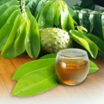 8 Manfaat Daun Sirsak untuk Kesehatan & Cara Konsumsinya