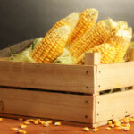 6 Manfaat Jagung untuk Kesehatan, Cegah Penyakit dan Baik untuk Jantung