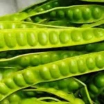 Manfaat Petai Mentah untuk Maag: Redakan Asam Lambung Secara Alami