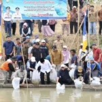 Gubernur Al Haris dan Wali Kota Alfin Tebar Benih Ikan di Sungai Batang Merao
