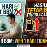 Rencana WFH Nasional 2026 Disorot DPR, Ini Alasannya