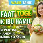 Manfaat Toge untuk Ibu Hamil: Nutrisi Sederhana dengan Khasiat Besar