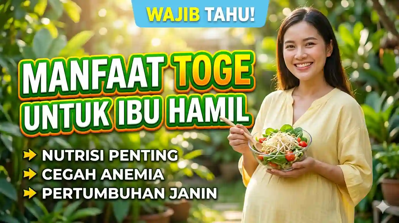 Manfaat Toge untuk Ibu Hamil: Nutrisi Sederhana dengan Khasiat Besar