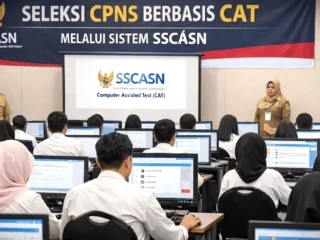 Tips Lolos CPNS 2026 untuk Fresh Graduate, Ini Strateginya