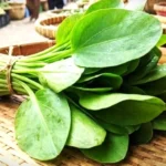 Daun Genjer: Sayuran Lokal Murah yang Kaya Manfaat