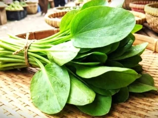 Daun Genjer: Sayuran Lokal Murah yang Kaya Manfaat