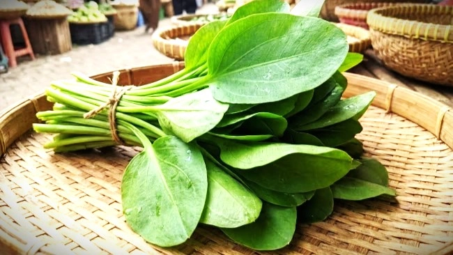 Daun Genjer: Sayuran Lokal Murah yang Kaya Manfaat