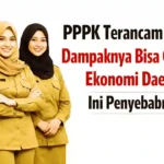 PPPK Terancam Diberhentikan, Ekonomi Daerah Bisa Terguncang