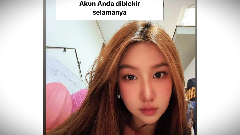 Akun TikTok Vilmei Hilang, 68,8 Juta Followers Lenyap