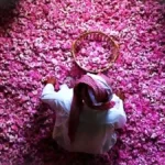 Wanginya Mendunia! Jutaan Mawar Taif Mekar Sempurna, Jadi Rebutan Industri Parfum Mewah