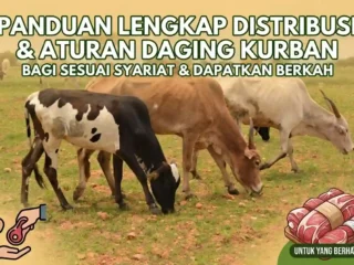 Panduan Lengkap Pembagian Daging Kurban